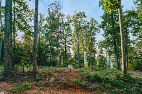 200 Chestnut Mountain Road #Lot 5