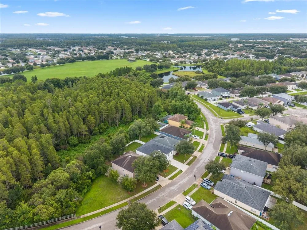 3336 BELLERICAY LANE Land O Lakes, FL 34638