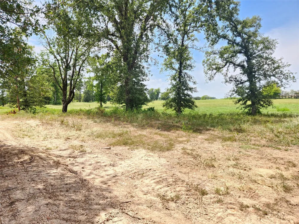 CR 3249 Mt Pleasant, TX 75455