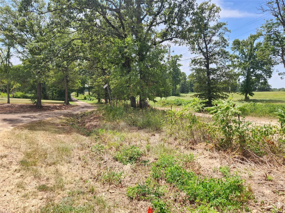 CR 3249 Mt Pleasant, TX 75455