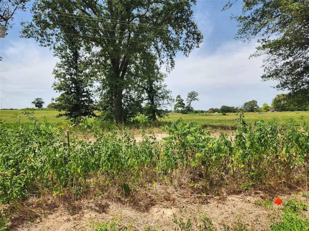 CR 3249 Mt Pleasant, TX 75455