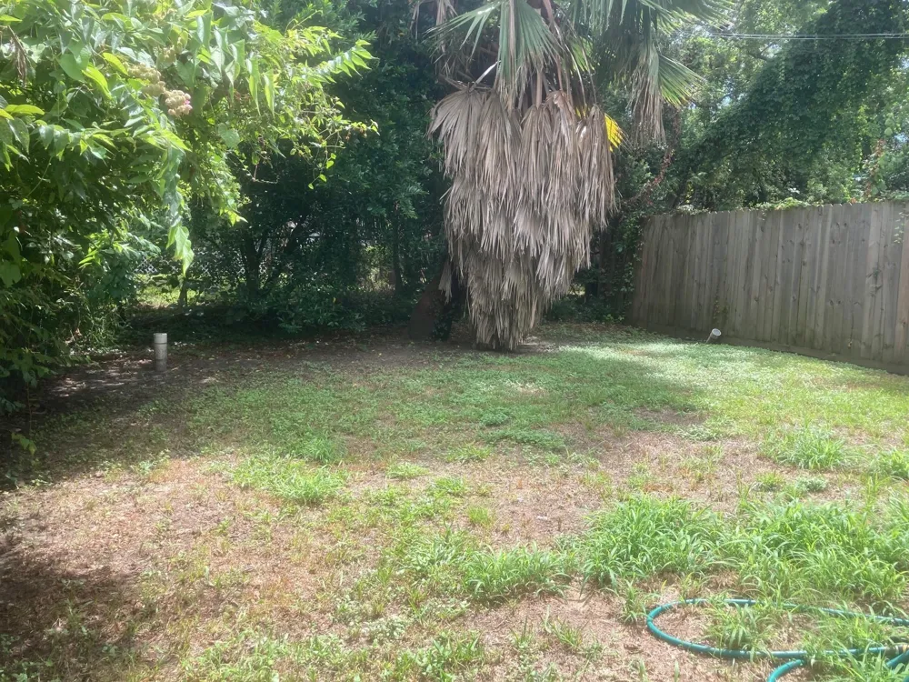 1915 Ursuline Street Galveston, TX 77550