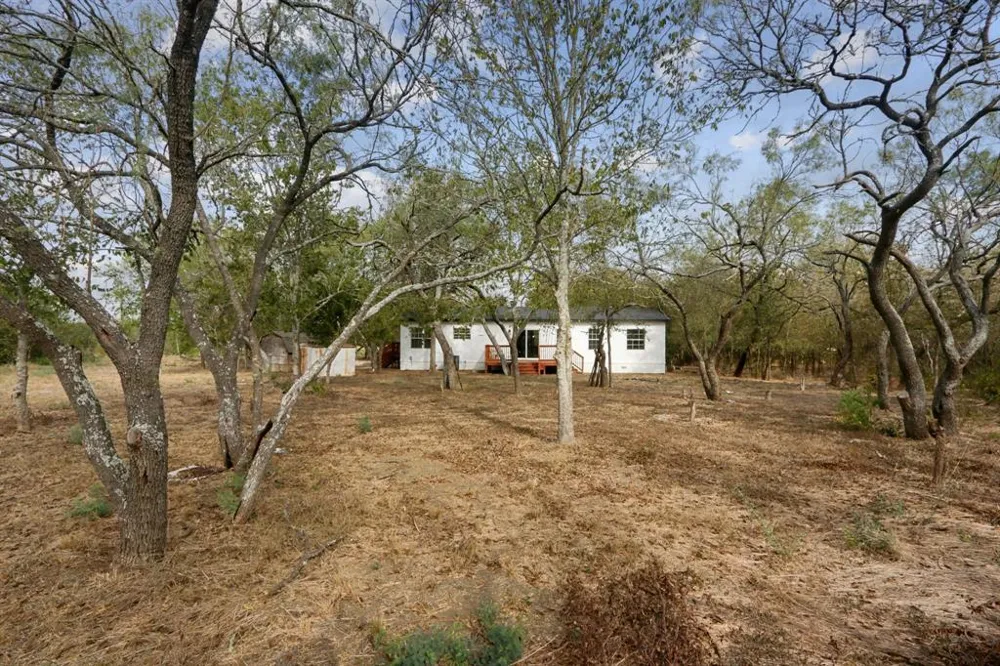 462 Texas Oak Drive Cedar Creek, TX 78612