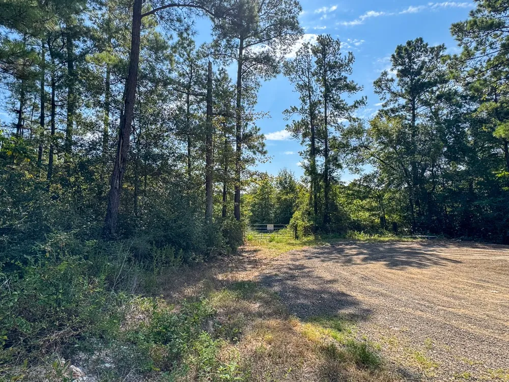 1 Johnson Road Huntsville, TX 77320