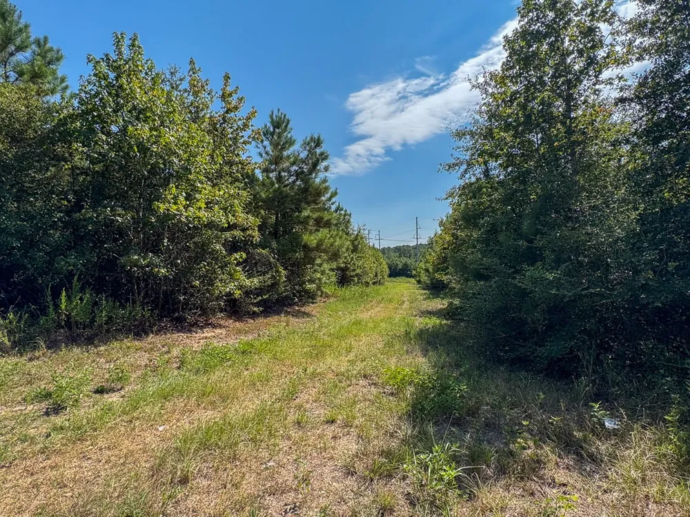 1 Johnson Road Huntsville, TX 77320