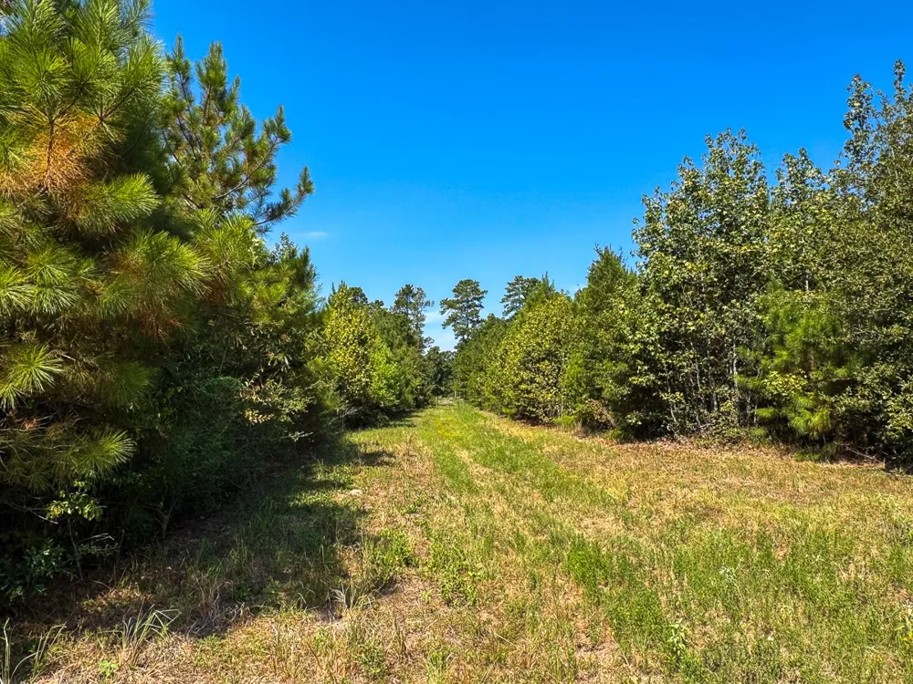 1 Johnson Road Huntsville, TX 77320