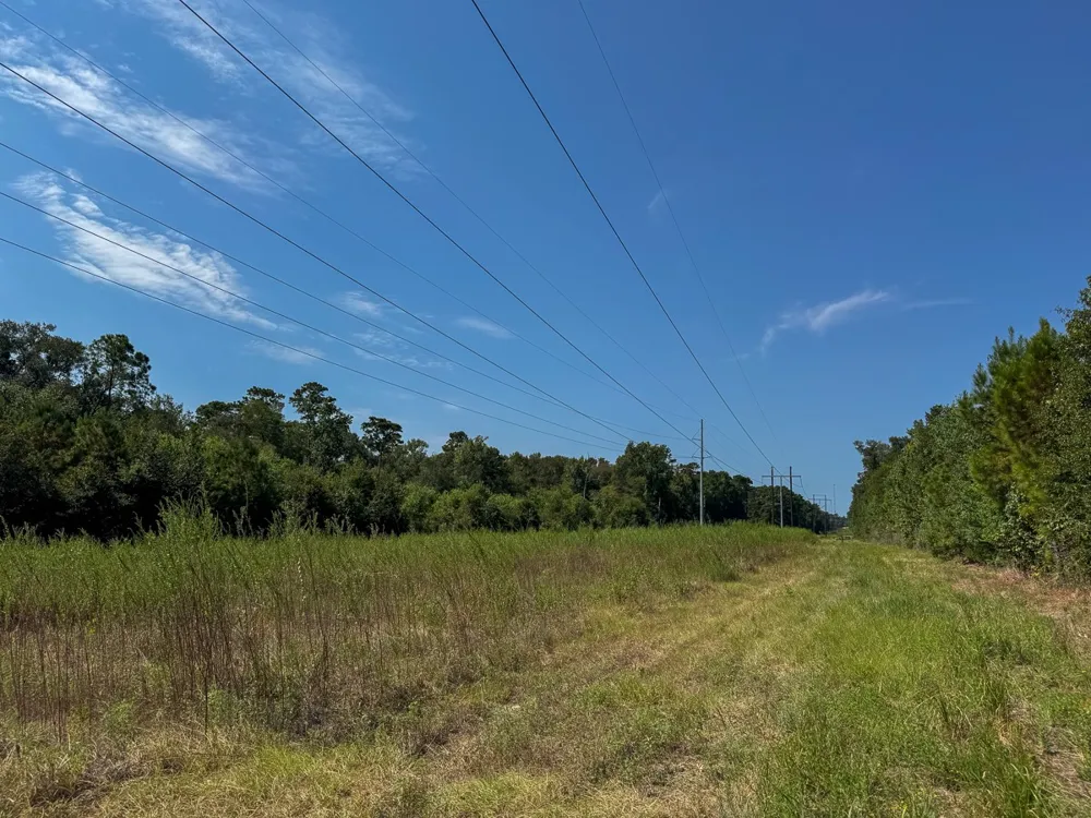 1 Johnson Road Huntsville, TX 77320