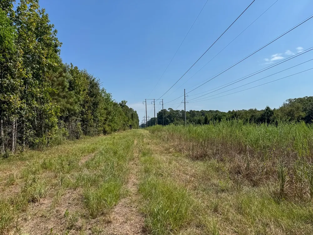 1 Johnson Road Huntsville, TX 77320