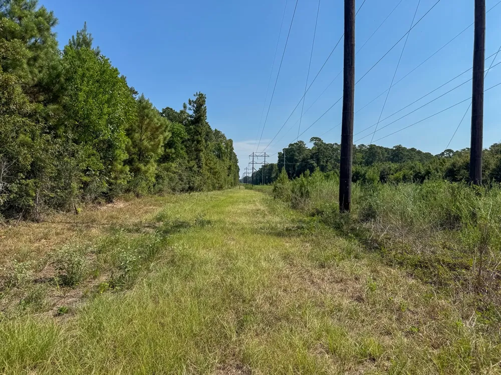1 Johnson Road Huntsville, TX 77320