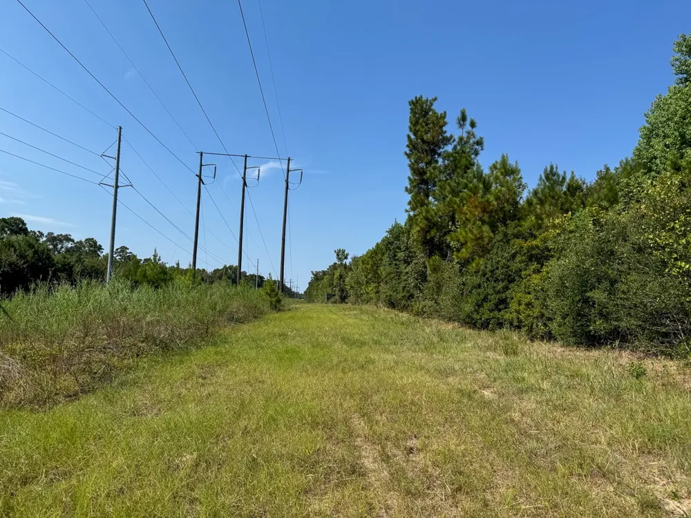 1 Johnson Road Huntsville, TX 77320