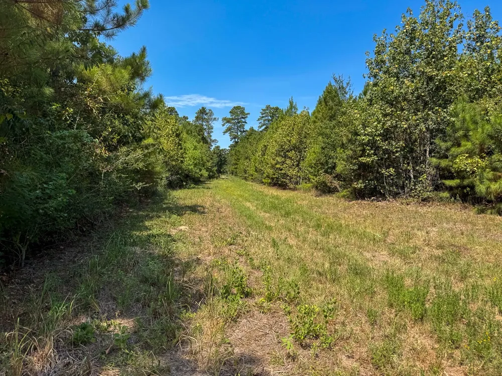 1 Johnson Road Huntsville, TX 77320