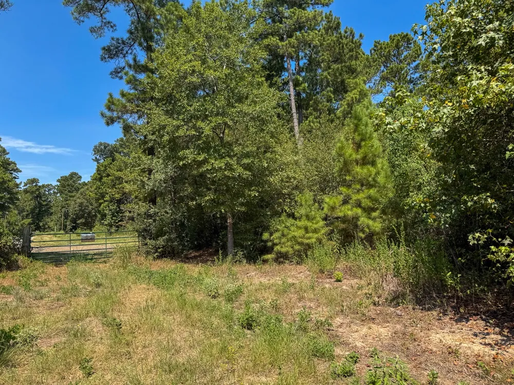 1 Johnson Road Huntsville, TX 77320