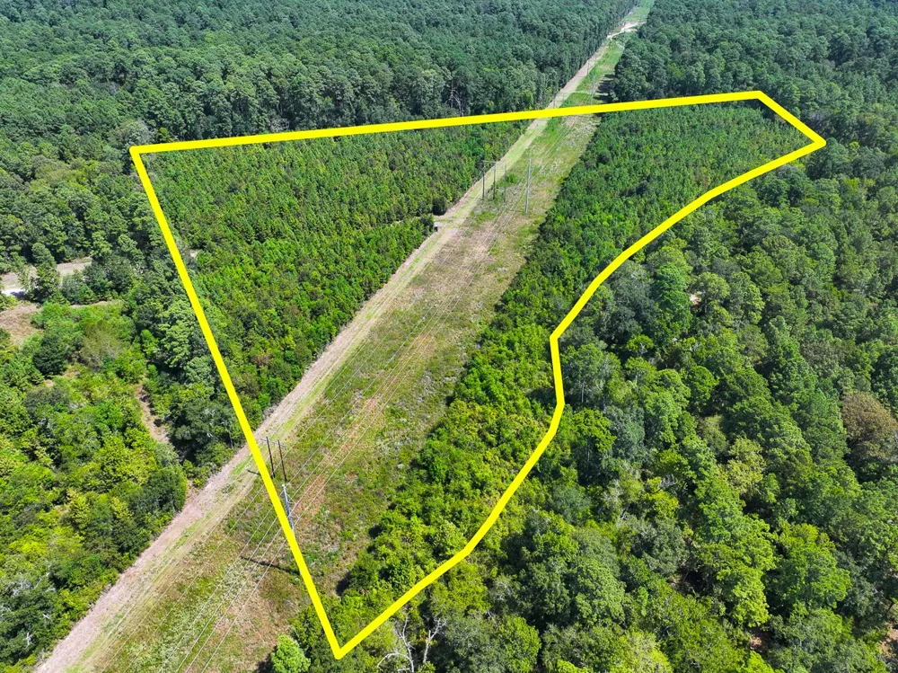 1 Johnson Road Huntsville, TX 77320
