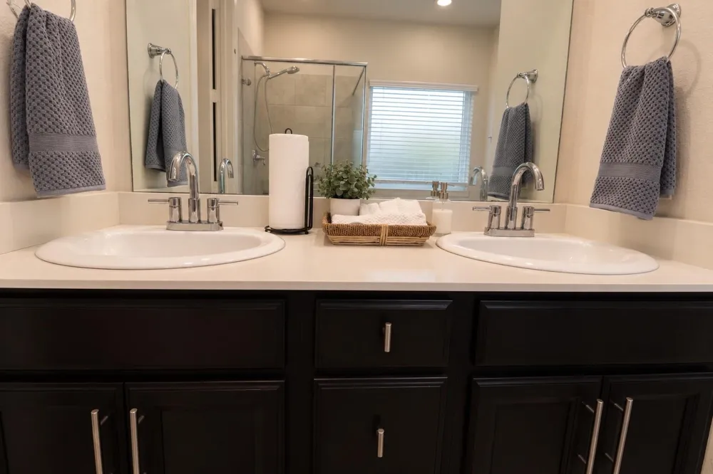 2403 Shelly Lang Court Missouri City, TX 77459