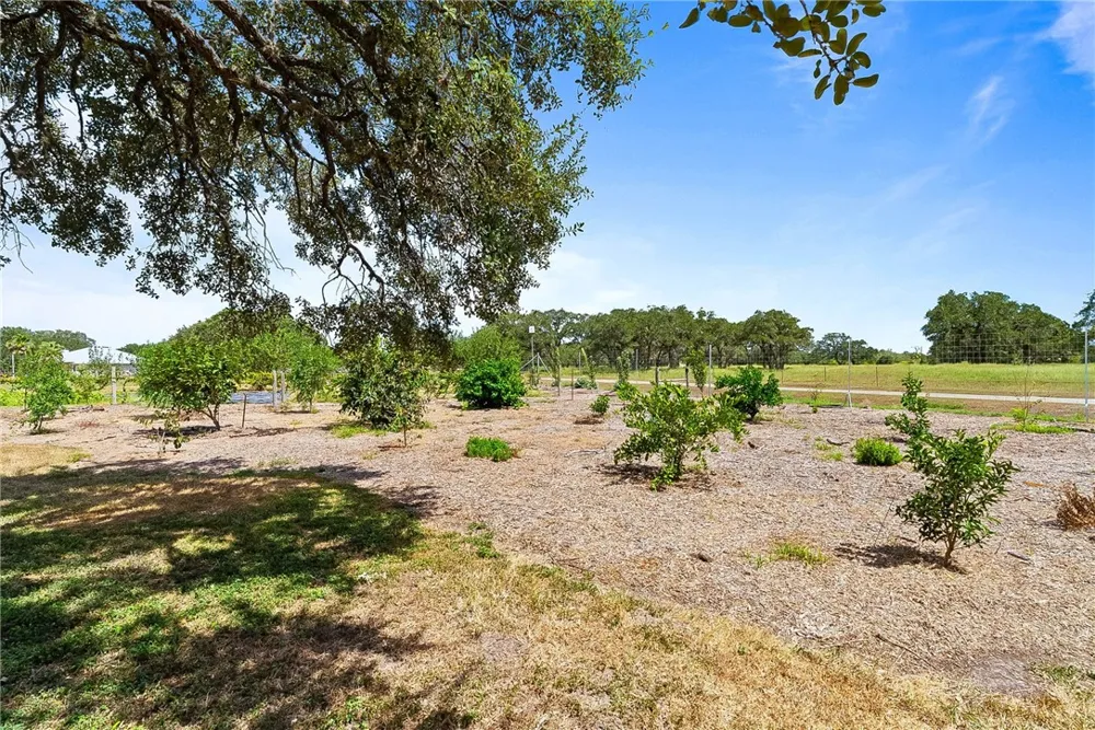 555 Silver Creek Sinton, TX 78387