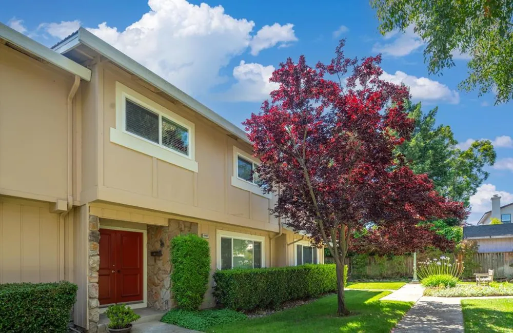 10019 Dove Oak Court Cupertino, CA 95014