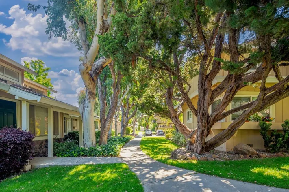 10019 Dove Oak Court Cupertino, CA 95014