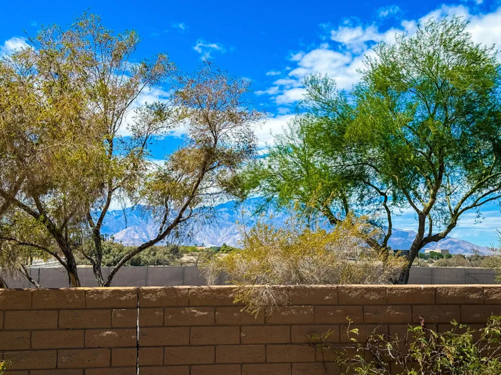 601 Calle Vibrante Palm Desert, CA 92211