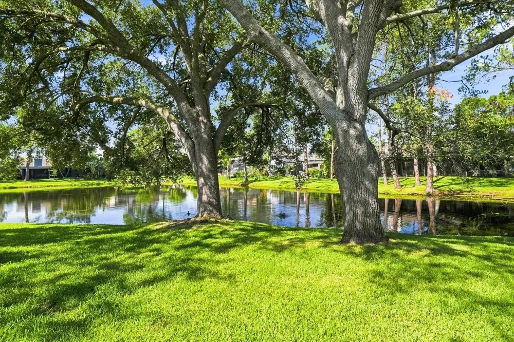 14626 VILLAGE GLEN CIRCLE Tampa, FL 33618