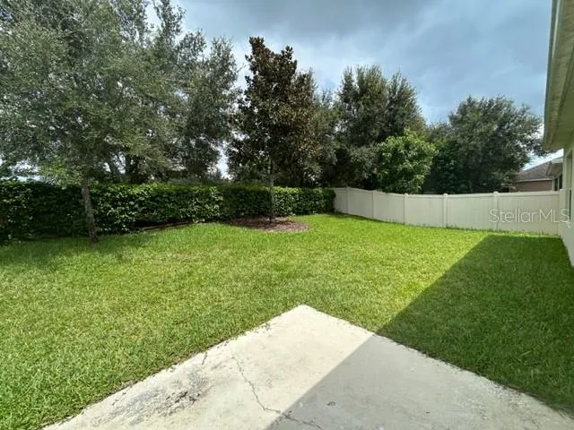 913 BERRY LEAF COURT Apopka, FL 32703