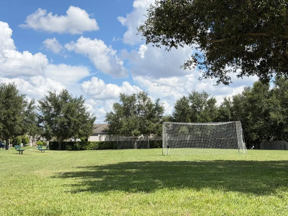 913 BERRY LEAF COURT Apopka, FL 32703