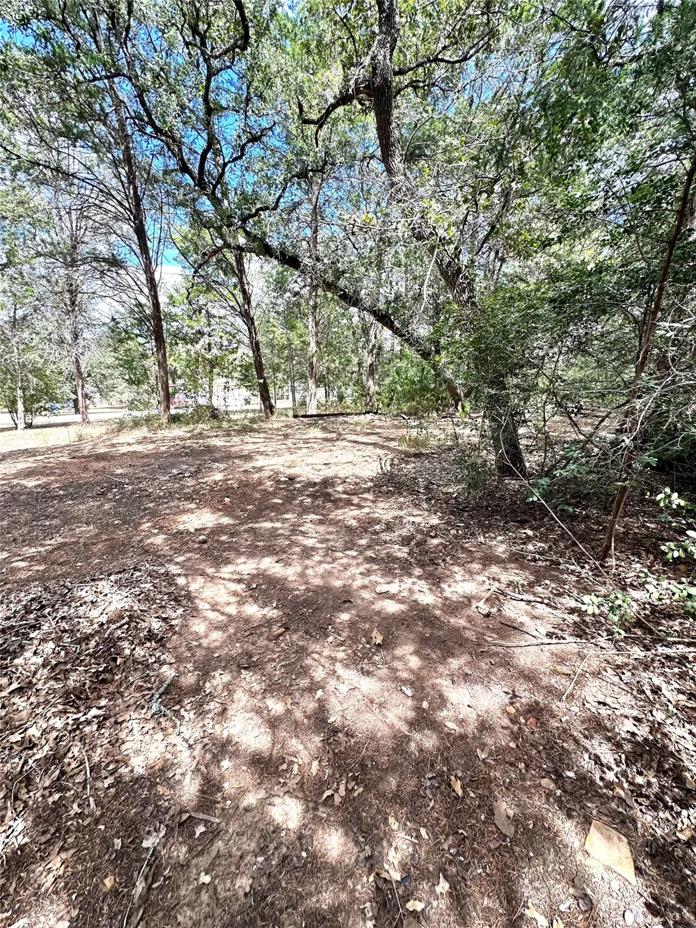117 Shoshoni Drive Smithville, TX 78957