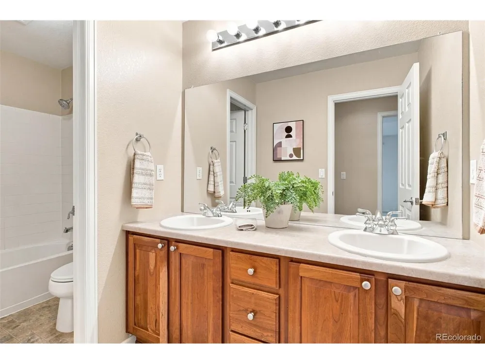 3594 Craftsbury Drive Highlands Ranch, CO 80126