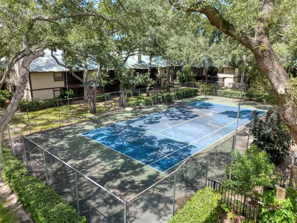 1490 MAHOGANY LANE #706 Palm Harbor, FL 34683