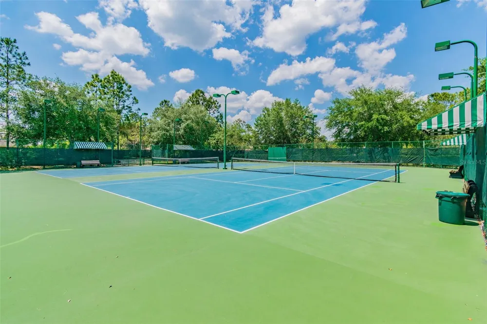 7625 DEER PATH LANE Land O Lakes, FL 34637