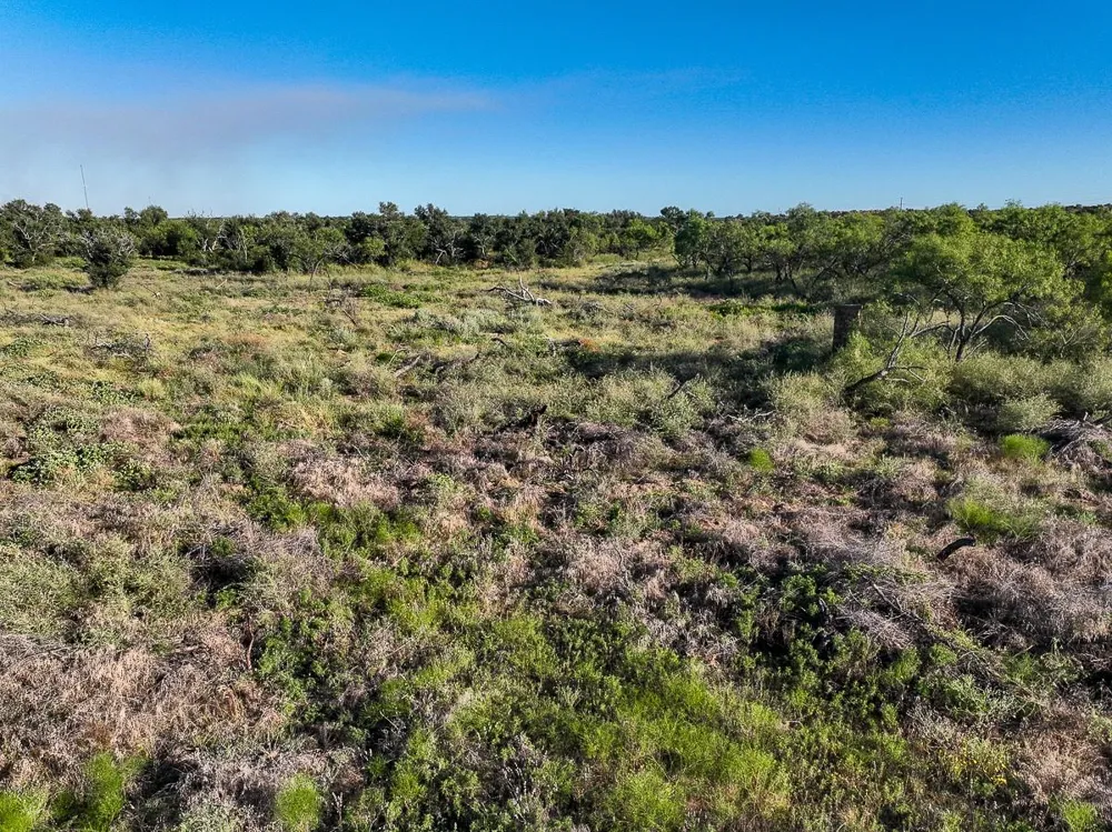 2 State Highway 29 Mason, TX 76856