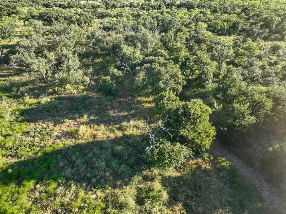 2 State Highway 29 Mason, TX 76856