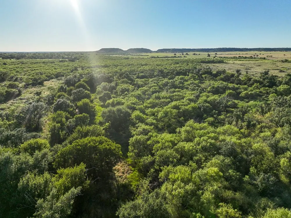 2 State Highway 29 Mason, TX 76856