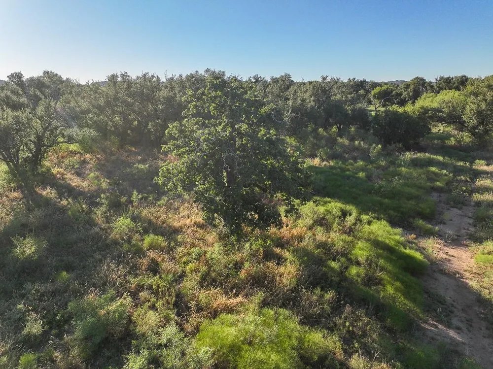 2 State Highway 29 Mason, TX 76856