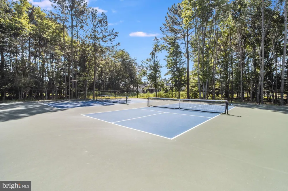 30973 FOWLERS PATH Millsboro, DE 19966