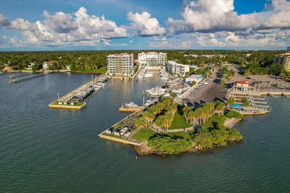 920 OSCEOLA AVENUE #605 Clearwater, FL 33755