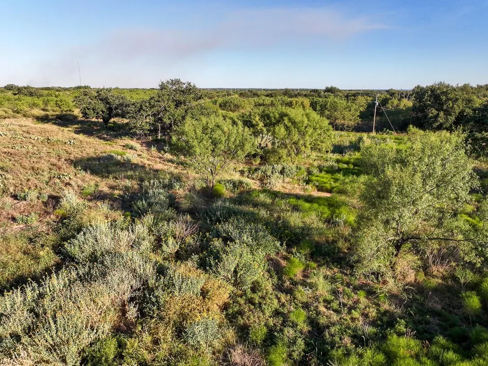 3 State Highway 29 Mason, TX 76856