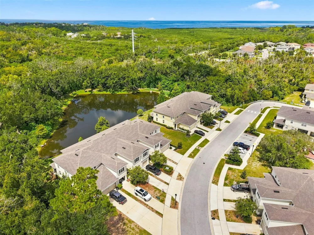 2919 JACOB CROSSING LANE Holiday, FL 34691
