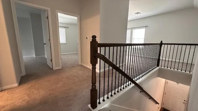 804 Goldilocks Lane Austin, TX 78652