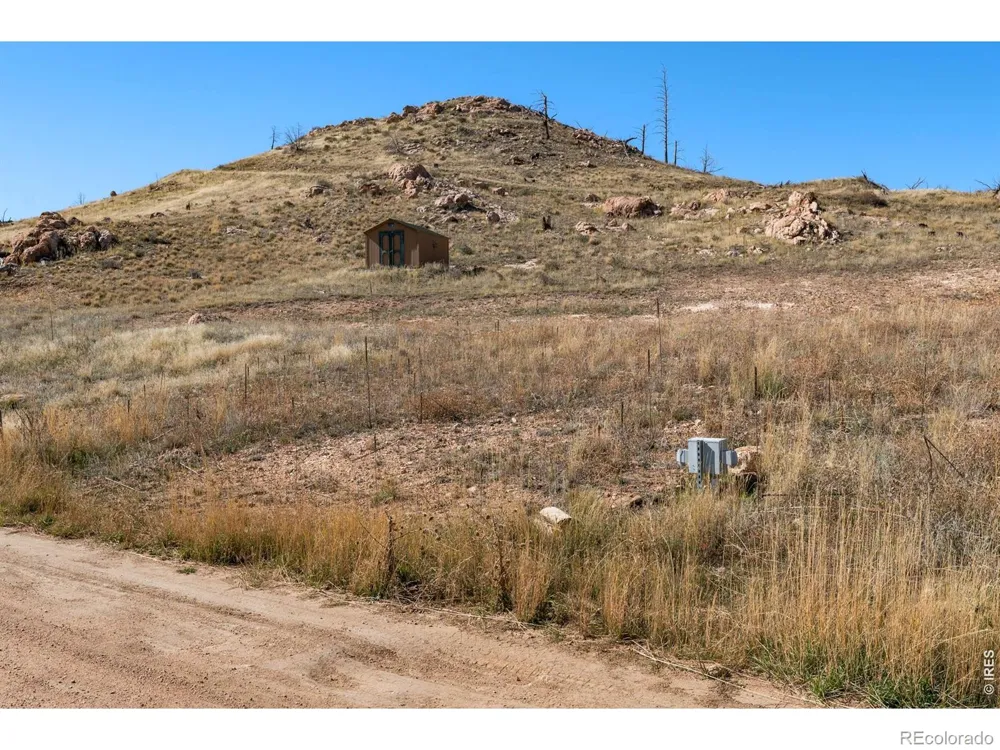 743 Horse Mountain Drive Livermore, CO 80536