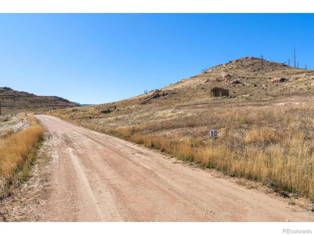 743 Horse Mountain Drive Livermore, CO 80536