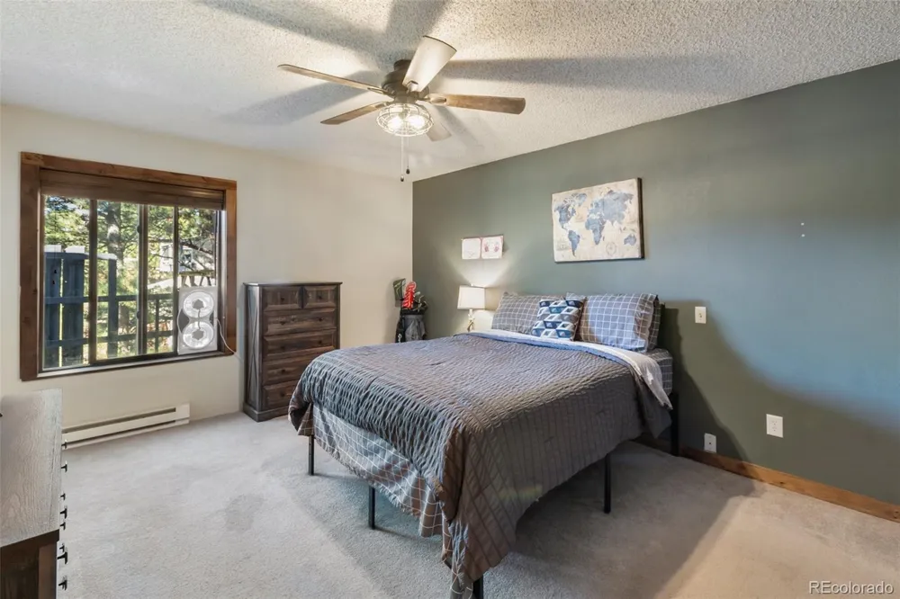 208 Illini Drive Woodland Park, CO 80863