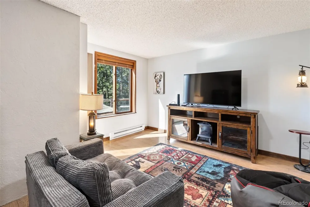 208 Illini Drive Woodland Park, CO 80863