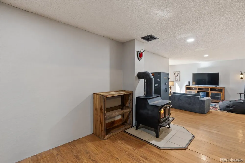 208 Illini Drive Woodland Park, CO 80863
