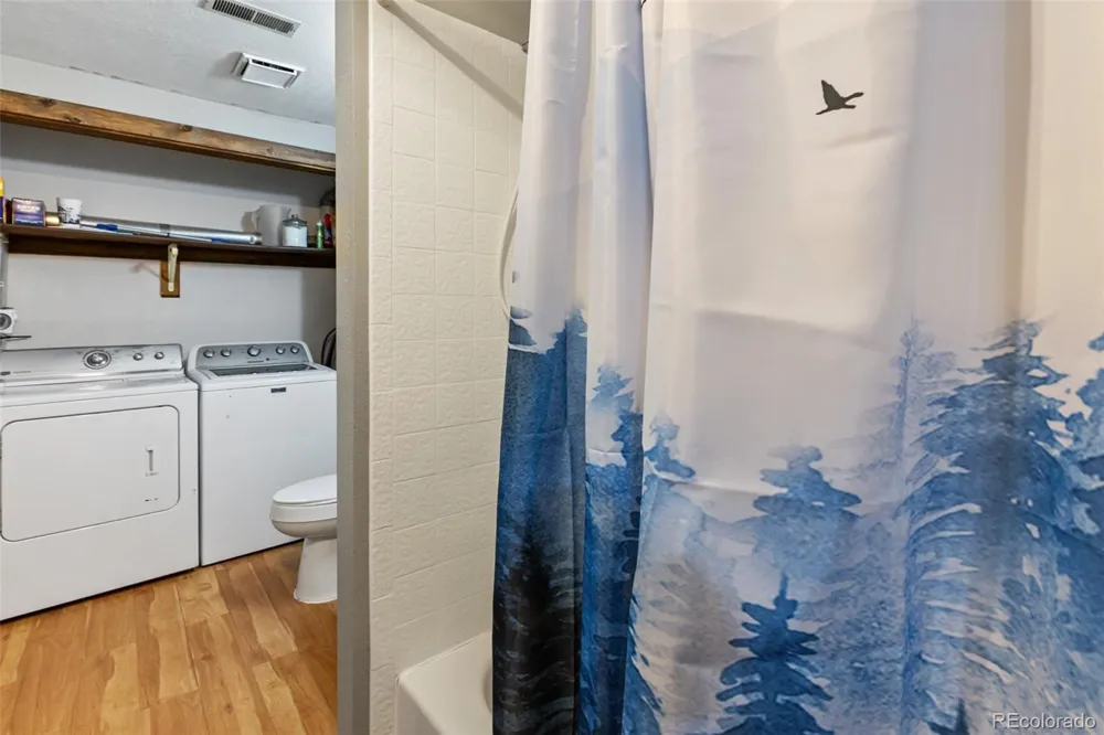 208 Illini Drive Woodland Park, CO 80863