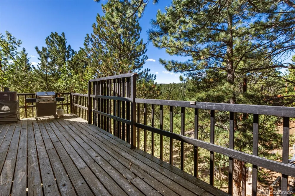 208 Illini Drive Woodland Park, CO 80863
