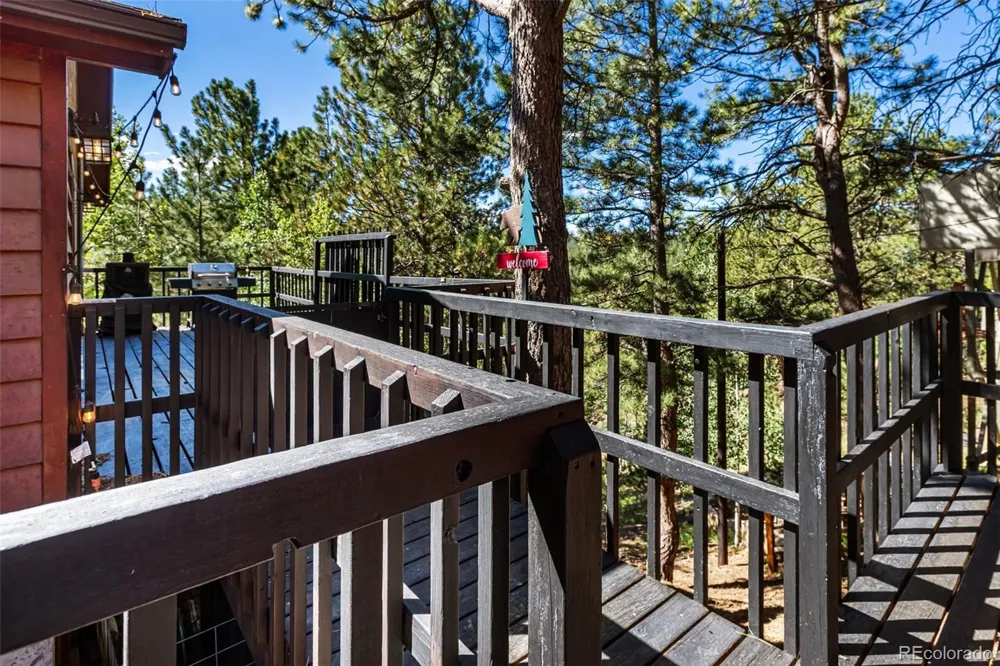 208 Illini Drive Woodland Park, CO 80863