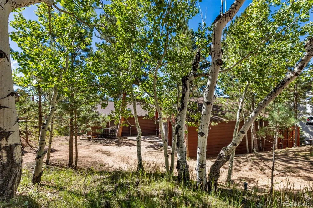 208 Illini Drive Woodland Park, CO 80863