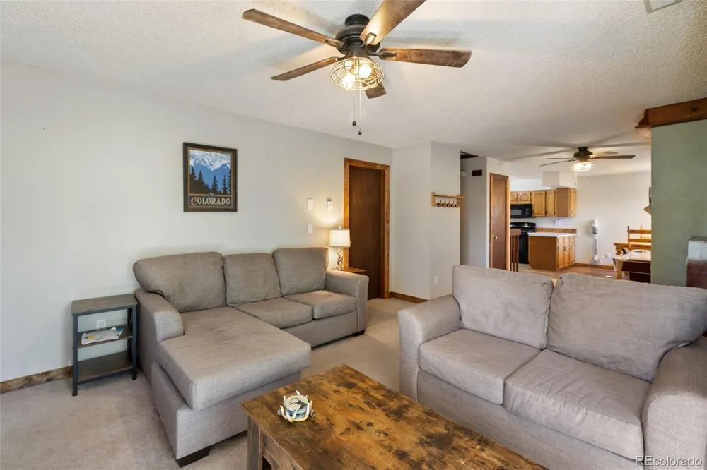 208 Illini Drive Woodland Park, CO 80863