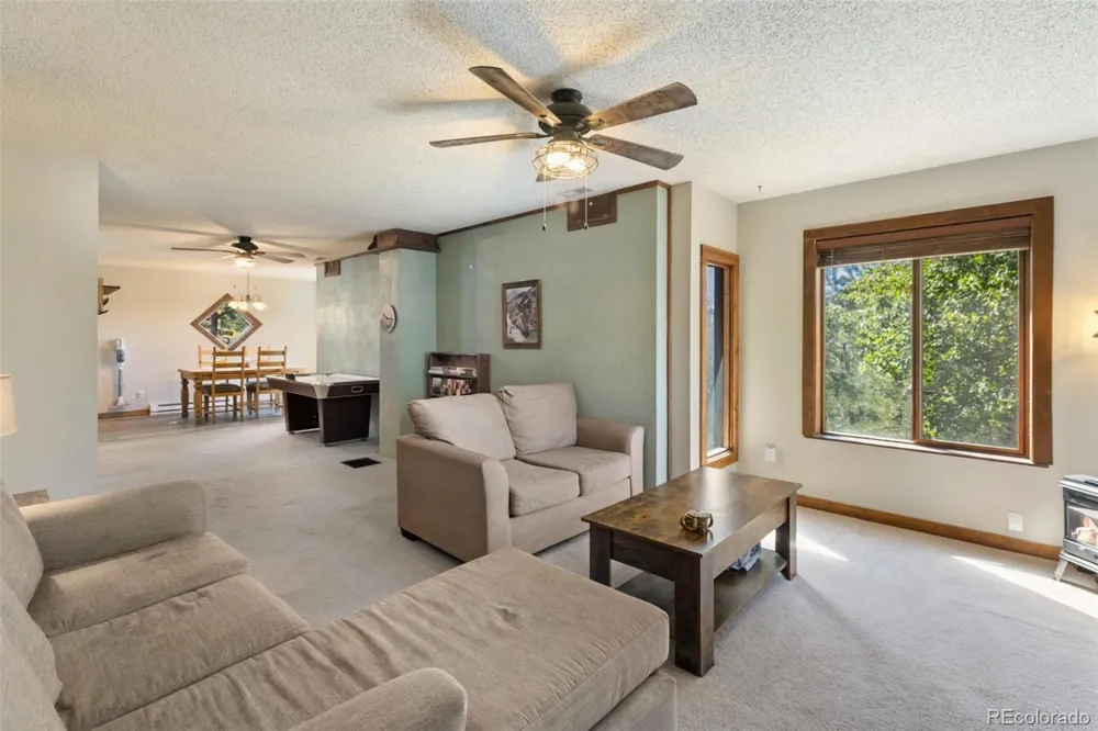 208 Illini Drive Woodland Park, CO 80863