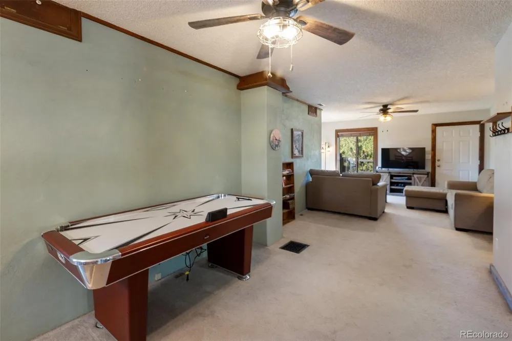 208 Illini Drive Woodland Park, CO 80863